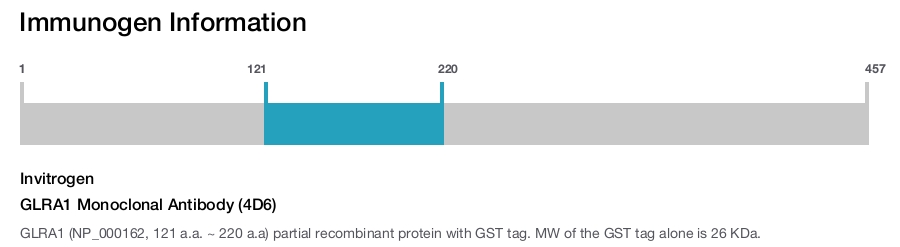 GLRA1 Monoclonal Antibody (4D6)