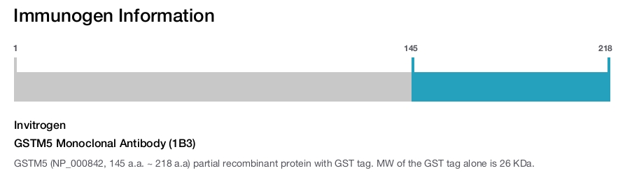 GSTM5 Monoclonal Antibody (1B3)
