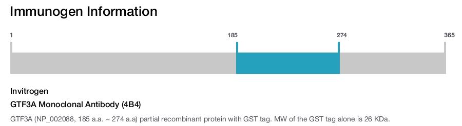 GTF3A Monoclonal Antibody (4B4)