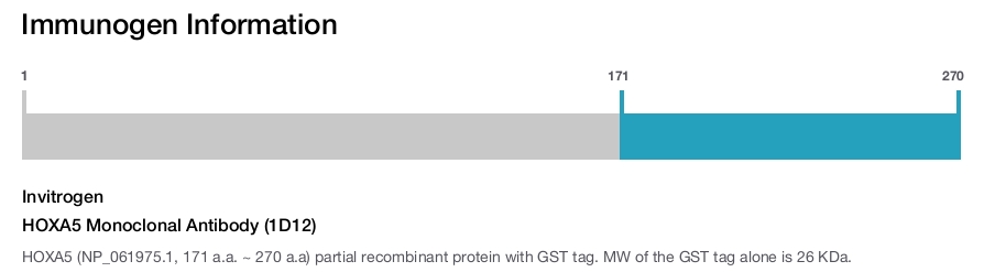 HOXA5 Monoclonal Antibody (1D12)