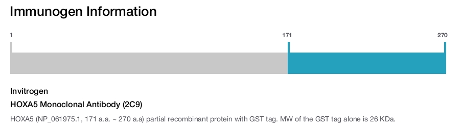 HOXA5 Monoclonal Antibody (2C9)