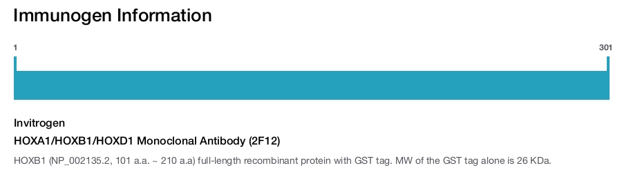 HOXA1/HOXB1/HOXD1 Monoclonal Antibody (2F12)