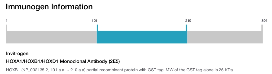HOXA1/HOXB1/HOXD1 Monoclonal Antibody (2E5)