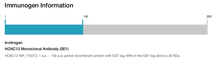 HOXC12 Monoclonal Antibody (3E1)