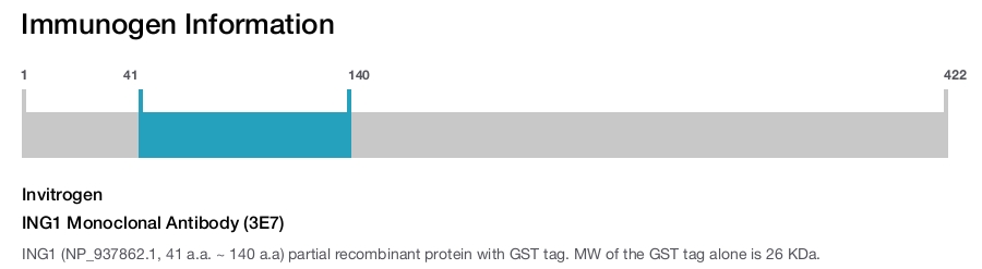 ING1 Monoclonal Antibody (3E7)