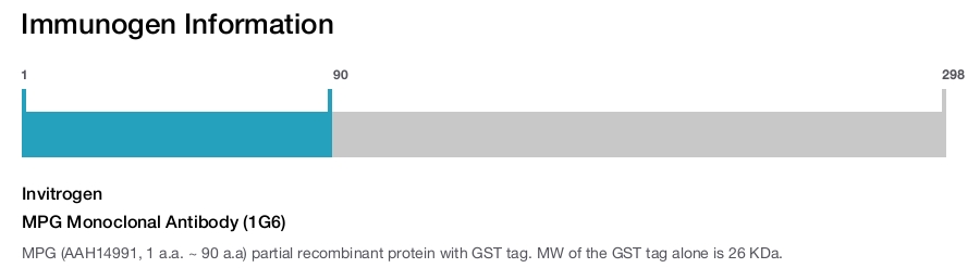 MPG Monoclonal Antibody (1G6)