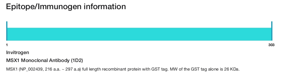 MSX1 Monoclonal Antibody (1D2)