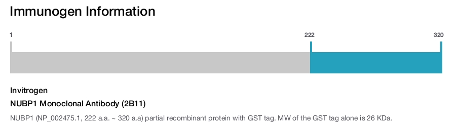 NUBP1 Monoclonal Antibody (2B11)
