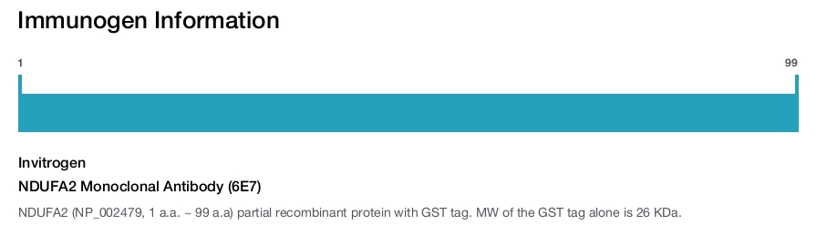 NDUFA2 Monoclonal Antibody (6E7)