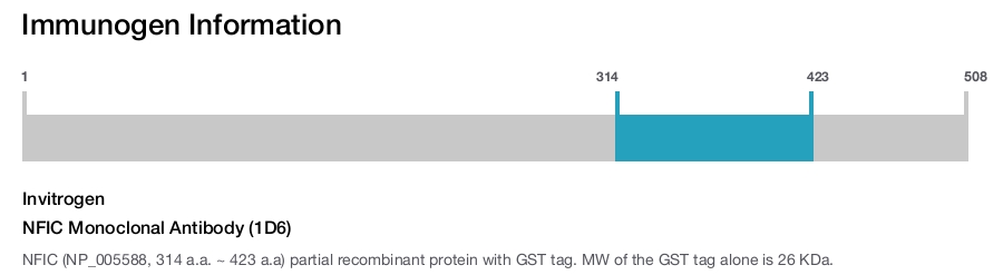 NFIC Monoclonal Antibody (1D6)