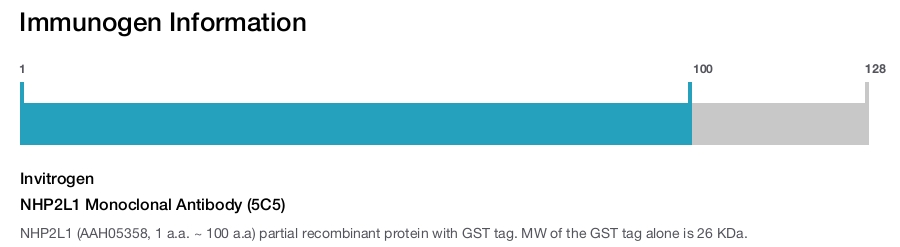 NHP2L1 Monoclonal Antibody (5C5)