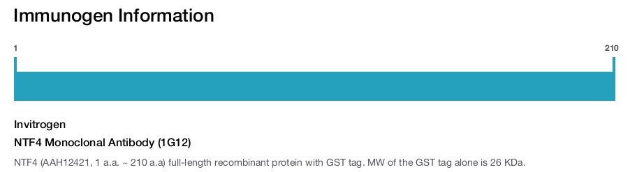NTF4 Monoclonal Antibody (1G12)