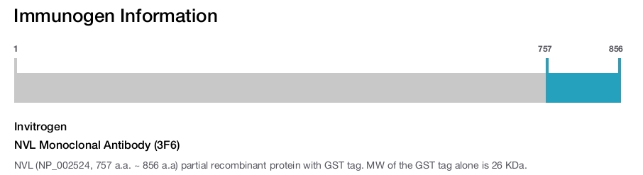 NVL Monoclonal Antibody (3F6)