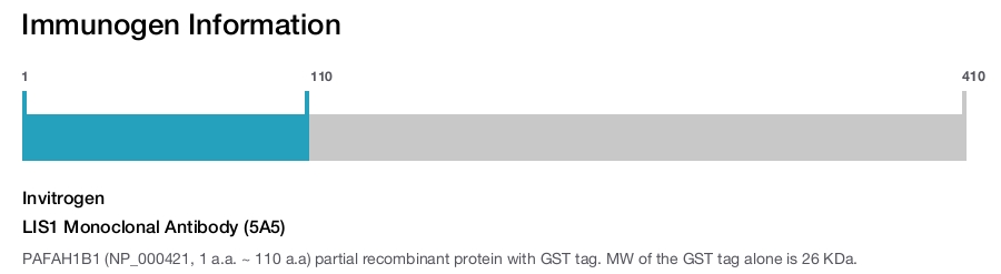 LIS1 Monoclonal Antibody (5A5)
