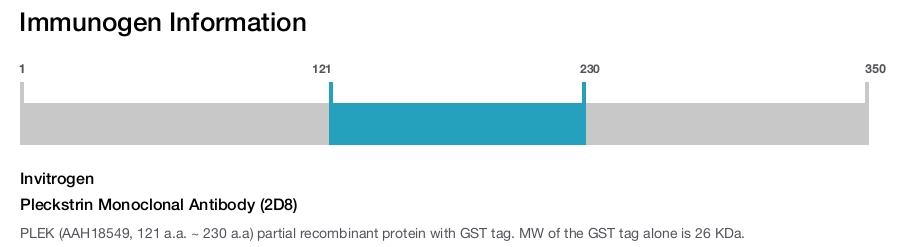 Pleckstrin Monoclonal Antibody (2D8)