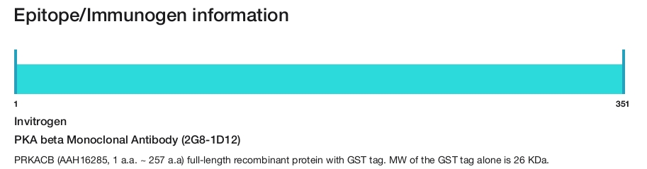 PKA beta Monoclonal Antibody (2G8-1D12)