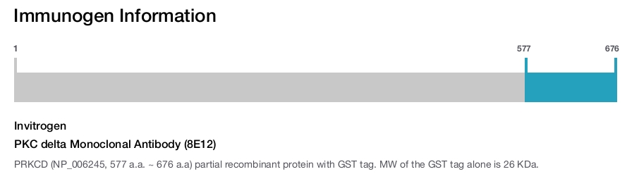 PKC delta Monoclonal Antibody (8E12)