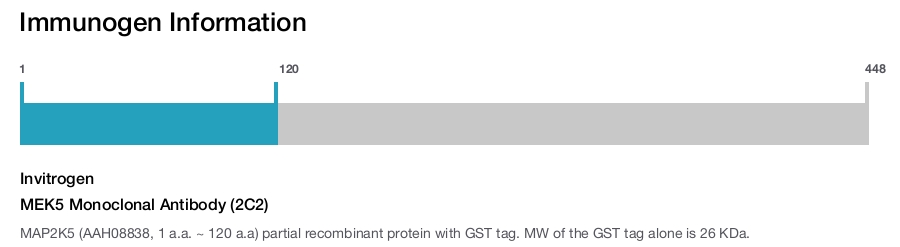 MEK5 Monoclonal Antibody (2C2)