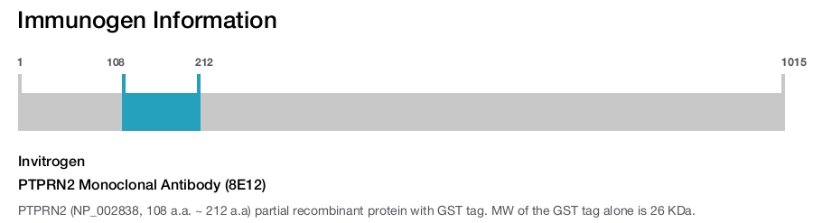PTPRN2 Monoclonal Antibody (8E12)