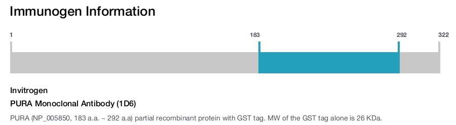 PURA Monoclonal Antibody (1D6)