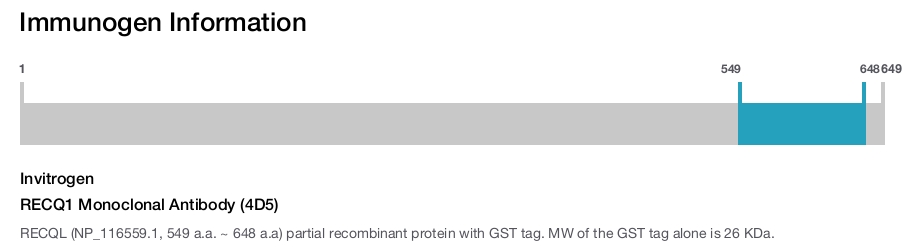 RECQ1 Monoclonal Antibody (4D5)