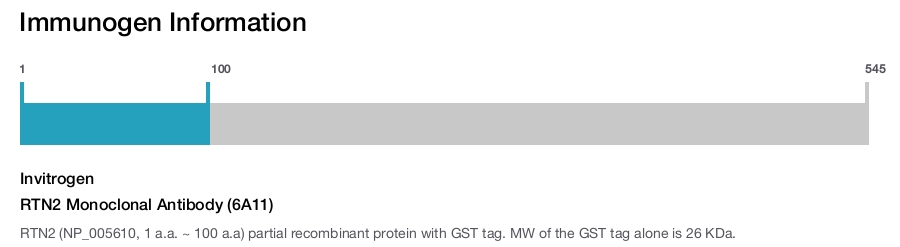RTN2 Monoclonal Antibody (6A11)