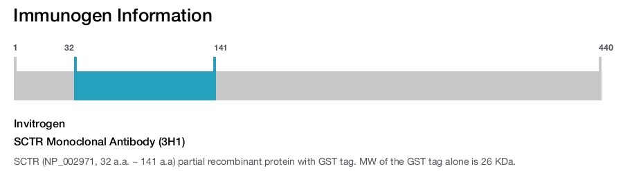 SCTR Monoclonal Antibody (3H1)