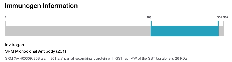 SRM Monoclonal Antibody (2C1)