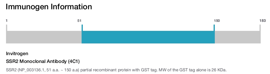 SSR2 Monoclonal Antibody (4C1)