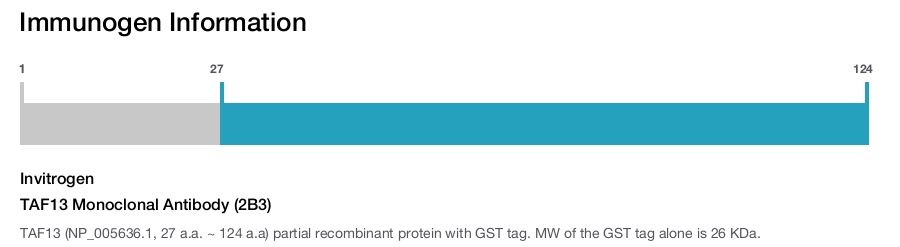 TAF13 Monoclonal Antibody (2B3)