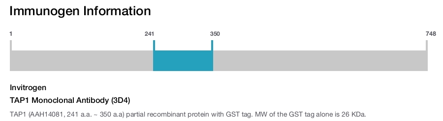 TAP1 Monoclonal Antibody (3D4)