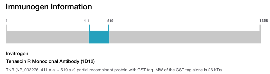 Tenascin R Monoclonal Antibody (1D12)