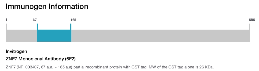 ZNF7 Monoclonal Antibody (6F2)