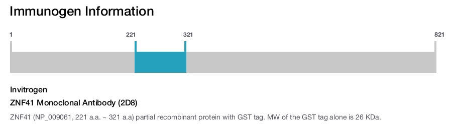 ZNF41 Monoclonal Antibody (2D8)