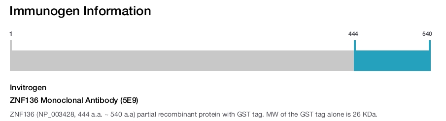 ZNF136 Monoclonal Antibody (5E9)
