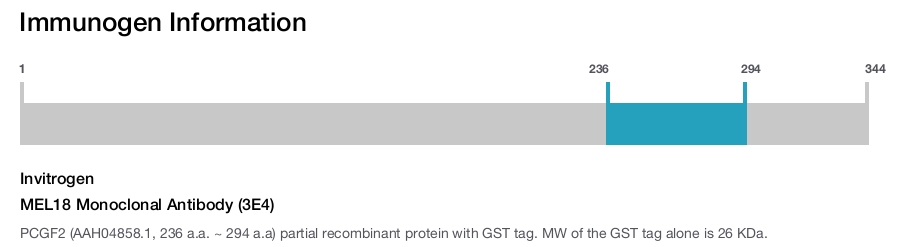 MEL18 Monoclonal Antibody (3E4)