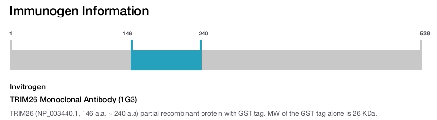 TRIM26 Monoclonal Antibody (1G3)