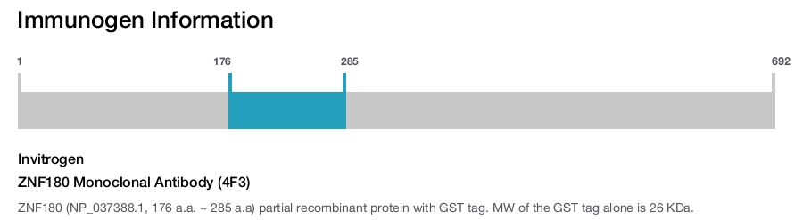 ZNF180 Monoclonal Antibody (4F3)