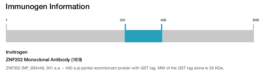 ZNF202 Monoclonal Antibody (1E9)
