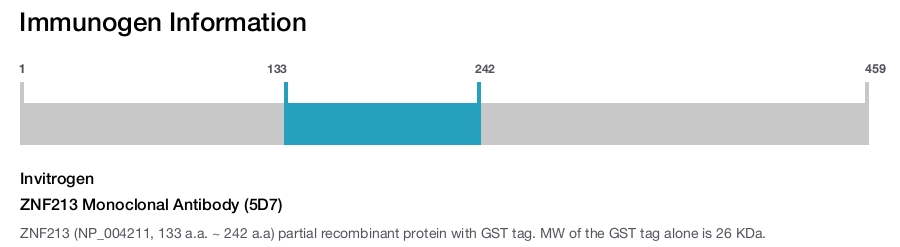 ZNF213 Monoclonal Antibody (5D7)