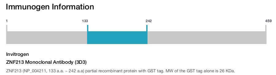 ZNF213 Monoclonal Antibody (3D3)