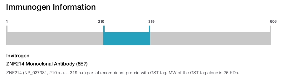 ZNF214 Monoclonal Antibody (8E7)