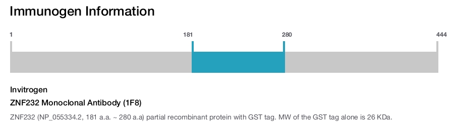 ZNF232 Monoclonal Antibody (1F8)