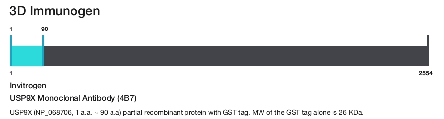 USP9X Monoclonal Antibody (4B7)