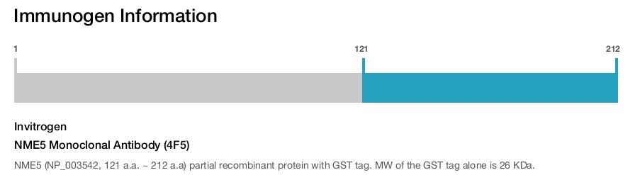 NME5 Monoclonal Antibody (4F5)