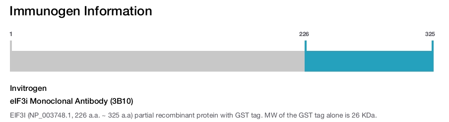 eIF3i Monoclonal Antibody (3B10)