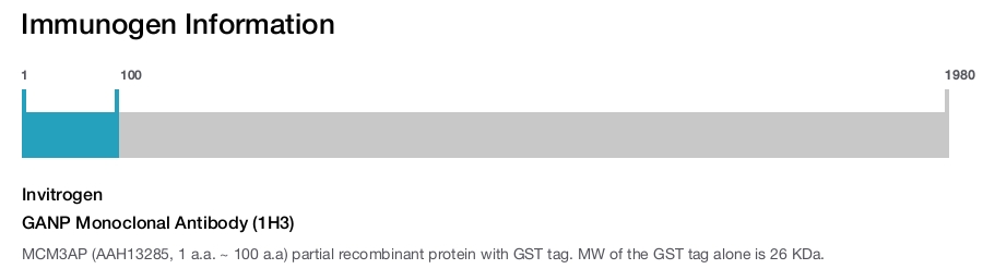 GANP Monoclonal Antibody (1H3)