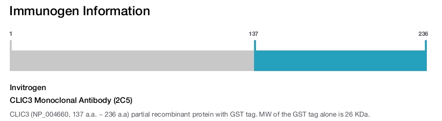 CLIC3 Monoclonal Antibody (2C5)