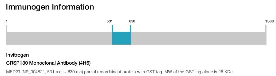 CRSP130 Monoclonal Antibody (4H6)