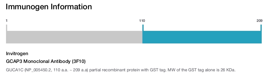 GCAP3 Monoclonal Antibody (3F10)